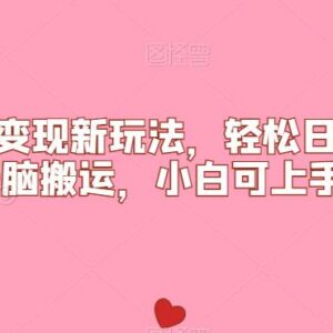 比基尼美女内容搬运变现玩法 小白可上手低门槛实操教程-雨叶虚拟资源网