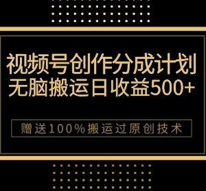 微信视频号创作分成计划 搬运过原创技巧及收益实操攻略-雨叶虚拟资源网