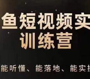 0基础钓鱼短视频运营实操指南 IP定位到账号策划全流程技巧-雨叶虚拟资源网
