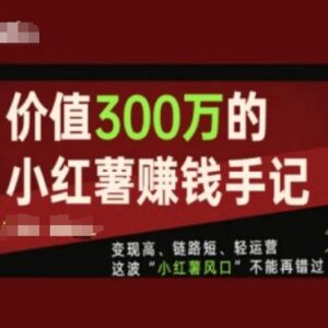 小红书运营变现实操手记 轻运营短链路高收益赚钱方法全解-雨叶虚拟资源网