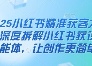 2025小红书精准获客大会 拆解AI智能体实现高效创作获客变现-雨叶虚拟资源网