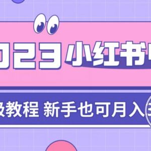 阿本小红书电商陪跑营4.0 新手从0到1做小红书电商实操教程-雨叶虚拟资源网