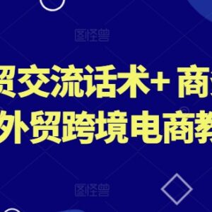 外贸跨境电商全场景教程 商务沟通话术及商务文书写作指南-雨叶虚拟资源网