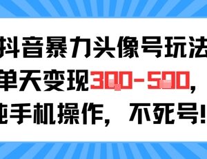 抖音头像号低门槛运营玩法 纯手机操作新手可实现单日变现-雨叶虚拟资源网