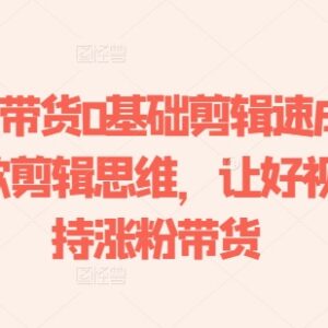 0基础短视频带货剪辑速成指南 掌握爆款思维助力涨粉带货-雨叶虚拟资源网