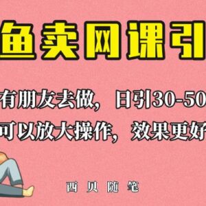 闲鱼卖网课引流创业粉实操教程 新手可日引50+精准流量-雨叶虚拟资源网
