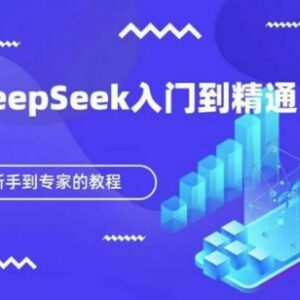 DeepSeek新手保姆级使用教程 从入门到精通含多工具联动技巧-雨叶虚拟资源网