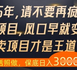 2025年还在到处找网创项目？为何卖项目比做项目更容易盈利-雨叶虚拟资源网
