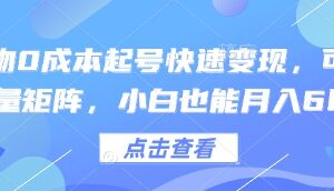 得物0成本起号变现实操教程 小白可操作支持批量矩阵运营-雨叶虚拟资源网