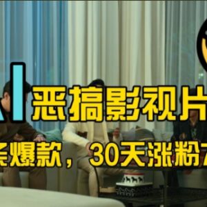 AI恶搞影视片段蓝海赛道全流程拆解 30天涨粉77万玩法详解-雨叶虚拟资源网