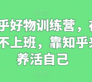 知乎好物运营全阶训练营教程 新手居家做副业增收实用指南-雨叶虚拟资源网