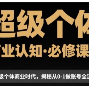 超级个体商业认知觉醒课 抖音变现账号从0到1搭建全流程讲解-雨叶虚拟资源网