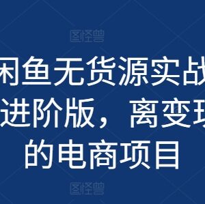 2024闲鱼无货源基础到进阶实战教程 低门槛电商变现项目-雨叶虚拟资源网