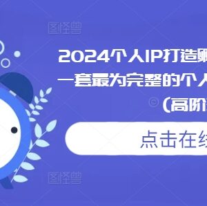 2024个人IP打造高阶课程 短视频IP孵化落地全流程实操教学-雨叶虚拟资源网