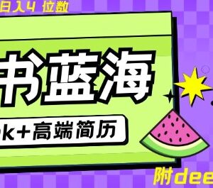 Deepseek+小红书简历蓝海赛道 零成本网盘自动发货副业实操指南-雨叶虚拟资源网