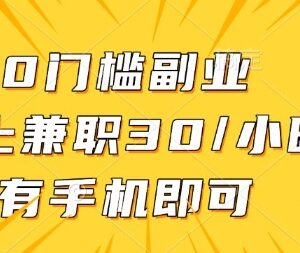 0门槛线上批改作业副业介绍 手机可做每小时收益可达30元-雨叶虚拟资源网