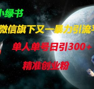 微信小绿书引流实操全攻略 单人单号日引300+精准创业粉-雨叶虚拟资源网