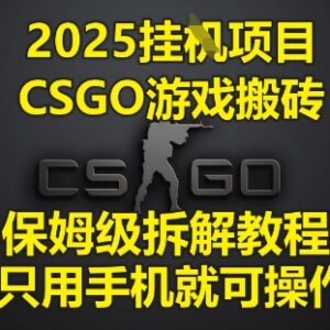 2025年CSGO游戏挂G搬砖项目 零基础纯手机操作保姆级拆解教程-雨叶虚拟资源网