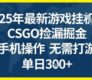 2025年CSGO游戏搬砖项目 全自动挂机手机操作赚钱方法揭秘-雨叶虚拟资源网