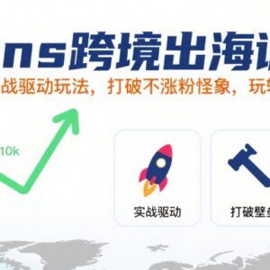 Ins跨境出海实战训练营 社媒自然流量涨粉运营玩法详解-雨叶虚拟资源网