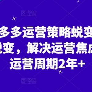 2024拼多多运营策略3.0教程 0基础从入门到盈利实操指南-雨叶虚拟资源网
