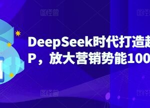 DeepSeek时代超级个人IP打造全攻略 手把手教你百倍放大营销势能-雨叶虚拟资源网