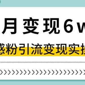 抖音情感粉引流变现实操课 小白可上手的单月增收玩法详解-雨叶虚拟资源网
