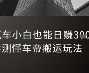 汽车小白可操作的懂车帝搬运玩法 实测新手每日可获稳定收益-雨叶虚拟资源网