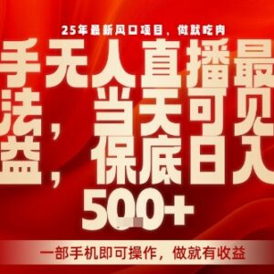 2025年快手无人直播正规玩法揭秘 低门槛操作当天即可获收益-雨叶虚拟资源网