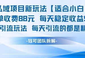 适合小白的低门槛私域项目新玩法 手机操作单日稳定收益三位数-雨叶虚拟资源网