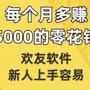 欢友交友软件赚钱玩法详解 新手易上手可月赚5000零花钱-雨叶虚拟资源网