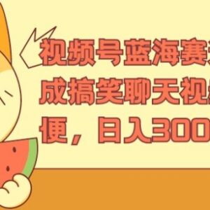 视频号蓝海赛道玩法：AI生成搞笑聊天视频 低门槛日入300+实操教程-雨叶虚拟资源网