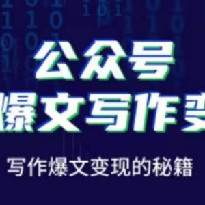 公众号AI爆文写作变现全攻略 运营实操与多渠道变现方法汇总-雨叶虚拟资源网