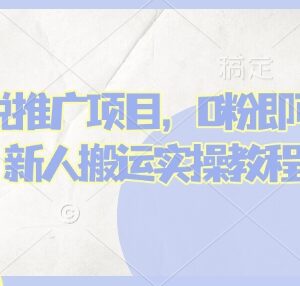 2025蛋花小说推文项目实操教程 0粉新人搬运即可上手变现-雨叶虚拟资源网