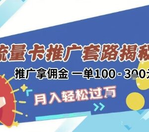 2025年无门槛流量卡项目最新玩法 新手零成本日入佣金超300-雨叶虚拟资源网