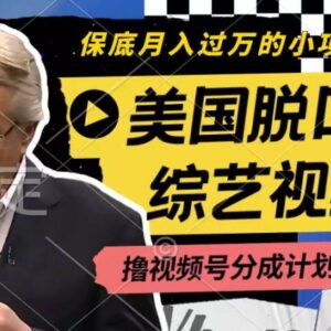 利用美国脱口秀综艺做视频号分成计划 每天1小时月入过万实操攻略-雨叶虚拟资源网