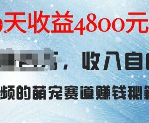 萌宠赛道AI宠物兔视频项目拆解 9天收益4800元实操玩法指南-雨叶虚拟资源网