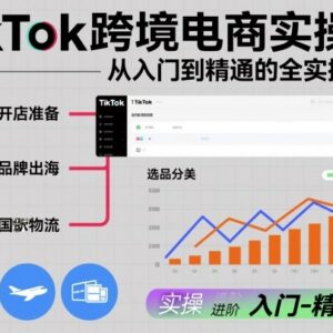 TikTok跨境电商实操课程 从入门到精通全流程运营教学-雨叶虚拟资源网