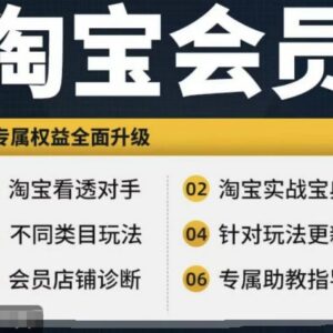 淘宝运营初级到高阶全系实战教程 竞品分析实用学习指南-雨叶虚拟资源网