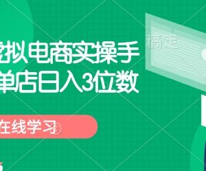 拼多多虚拟电商小白实操手册 零基础开店单店日入3位数教程-雨叶虚拟资源网