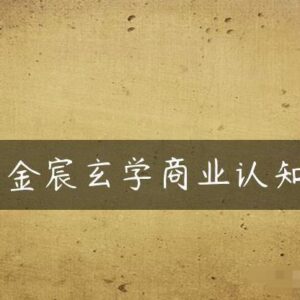 吴金宸玄学商业认知课 传统文化IP运营变现全流程系统教程-雨叶虚拟资源网