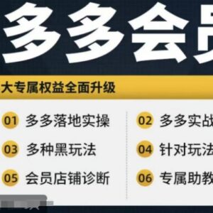 拼多多从新手到高阶运营实操课程 流量玩法爆品打造全攻略-雨叶虚拟资源网