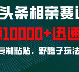 2024微头条相亲赛道野路子实操玩法 复制粘贴即可实现月入过万-雨叶虚拟资源网