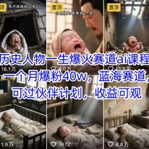 AI历史人物短视频运营教程 蓝海赛道月涨粉40万可开伙伴计划-雨叶虚拟资源网