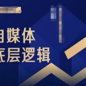 2024版自媒体底层逻辑录播课 零基础小白入门运营学习资源-雨叶虚拟资源网