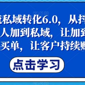 抖音引流私域转化6.0教程 从引流到复购全流程实操教学-雨叶虚拟资源网