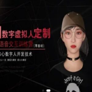 零基础AI数字虚拟人定制训练营 实时语音交互全流程技术教学-雨叶虚拟资源网