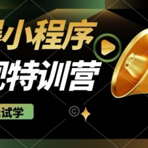 2025微信小程序挂机推广项目 全自动被动收益玩法实操揭秘-雨叶虚拟资源网