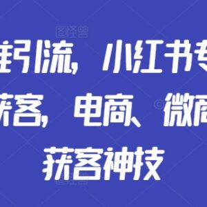 小红书专业号矩阵精准获客教程 电商微商门店引流实操指南-雨叶虚拟资源网