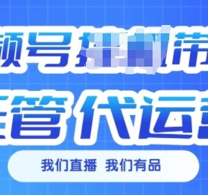 视频号挂机直播带货托管代运营 普通人每月增收3000至5000攻略-雨叶虚拟资源网